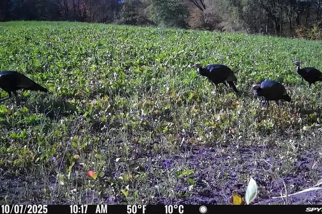 $689,000 | 49236 245th Avenue, Pelican Rapids, MN 56572