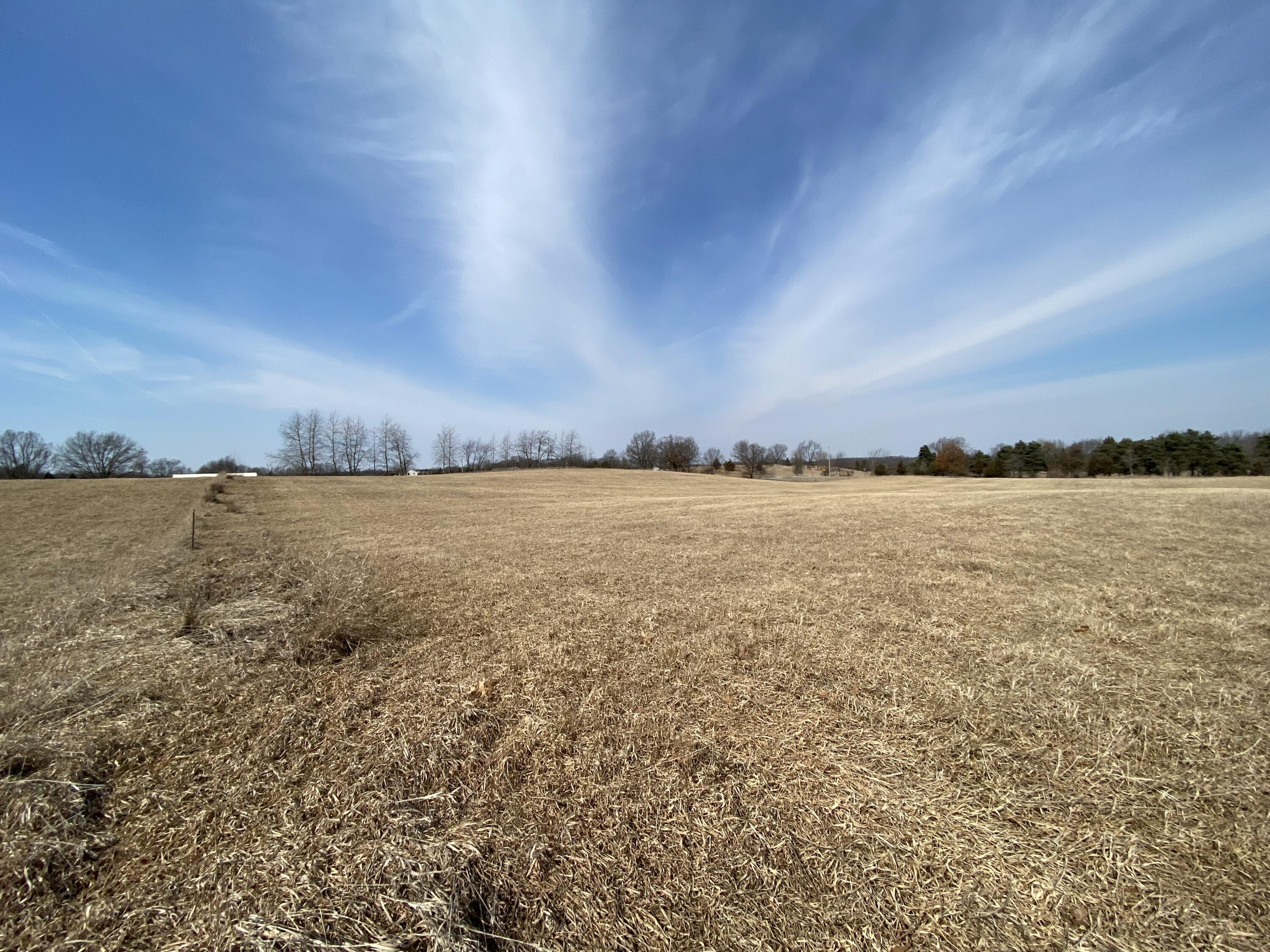 V/l Horning Road Brooklyn, MI 49230 - Photo 1 of 6 1