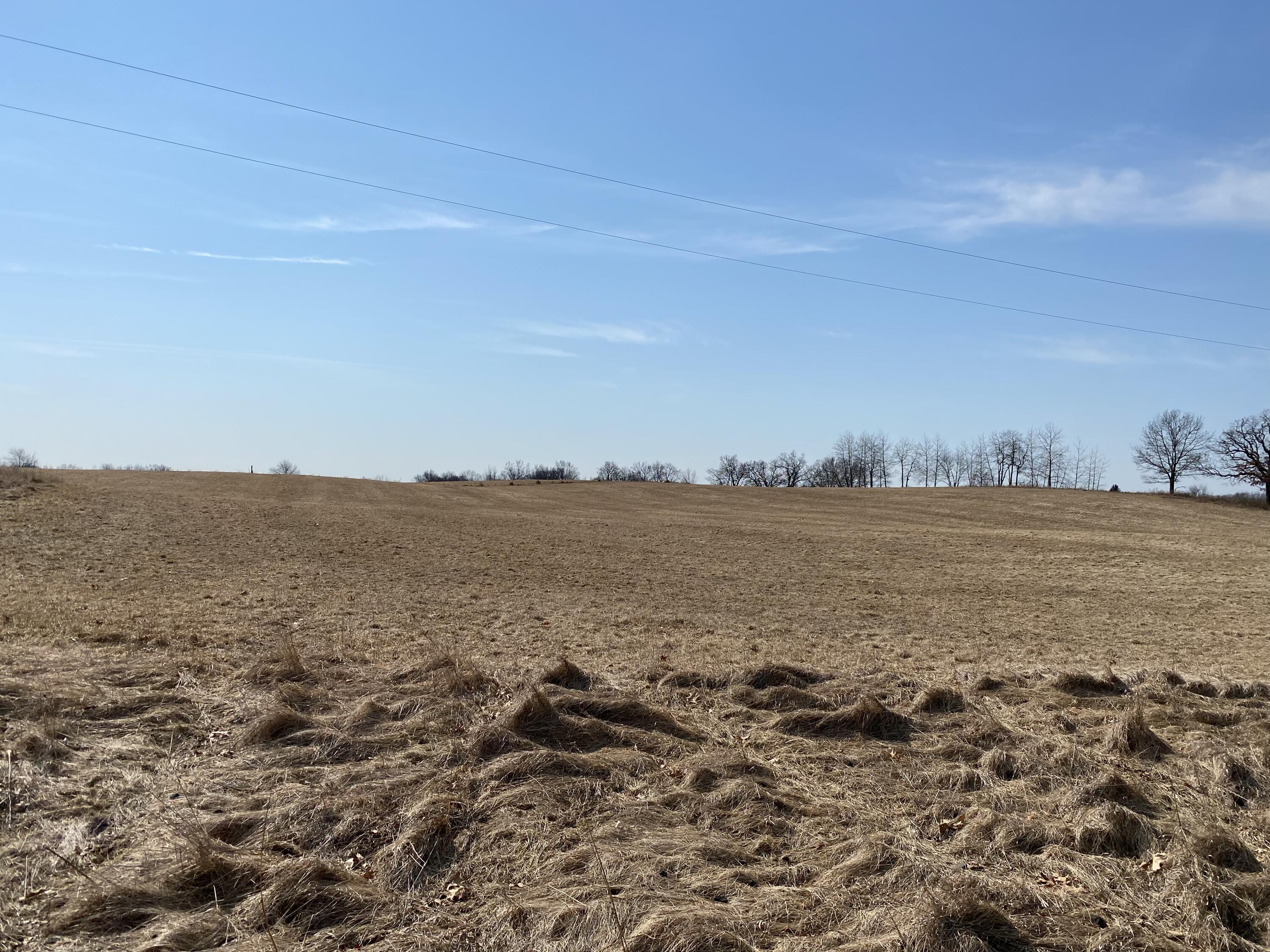 V/l Horning Road Brooklyn, MI 49230 - Photo 2 of 6 2