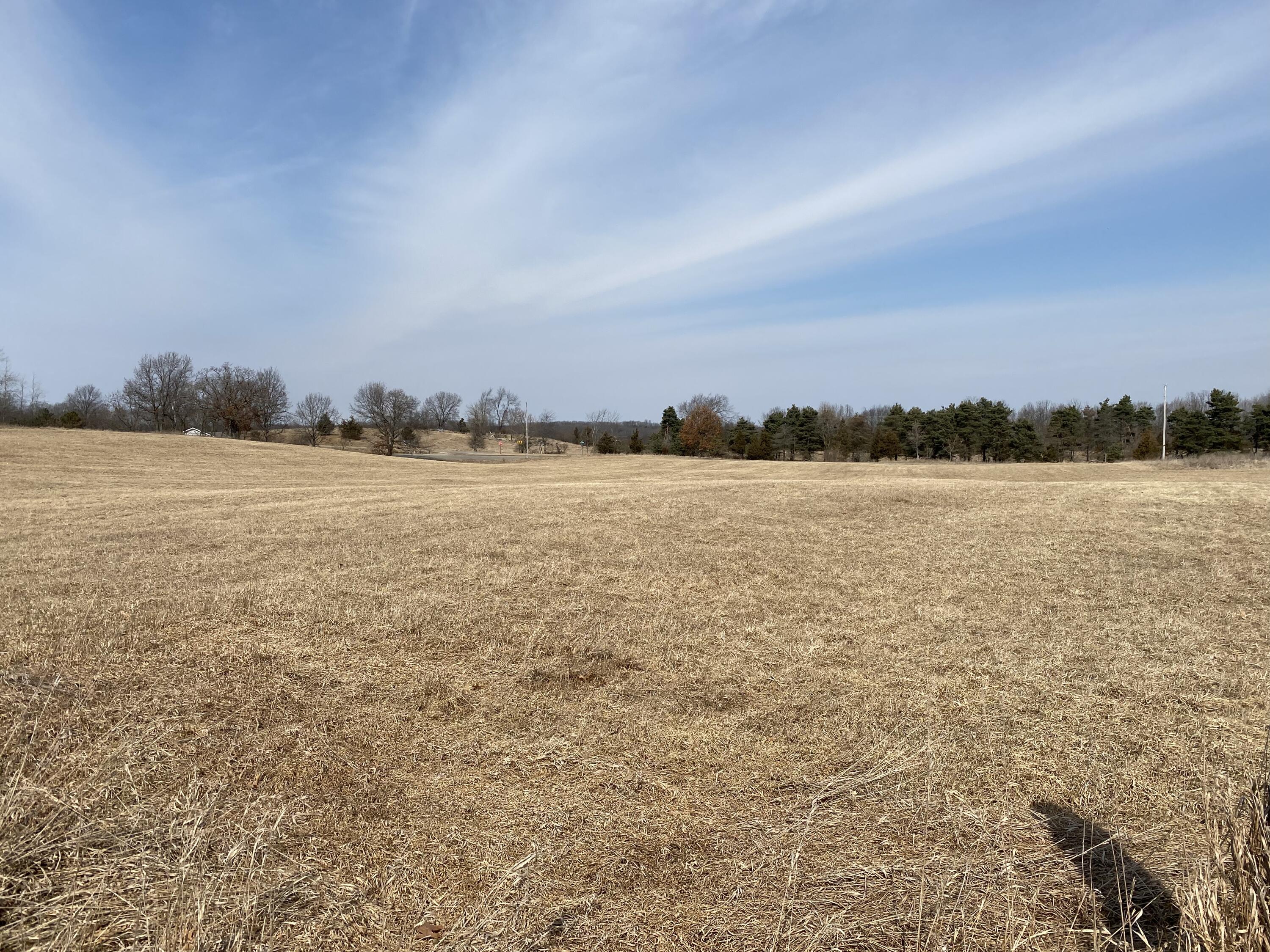 V/l Horning Road Brooklyn, MI 49230 - Photo 3 of 6 3