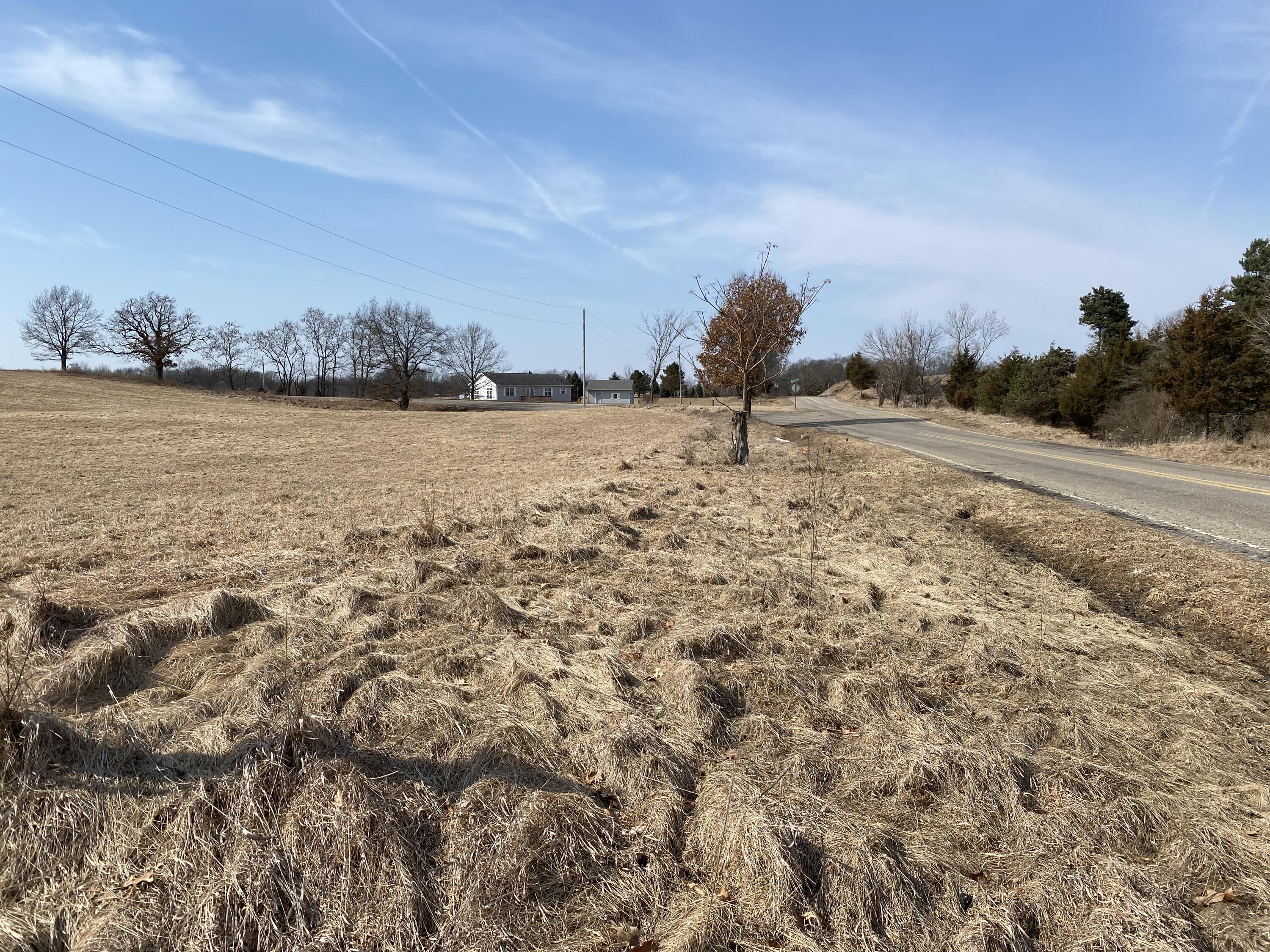 V/l Horning Road Brooklyn, MI 49230 - Photo 4 of 6 4