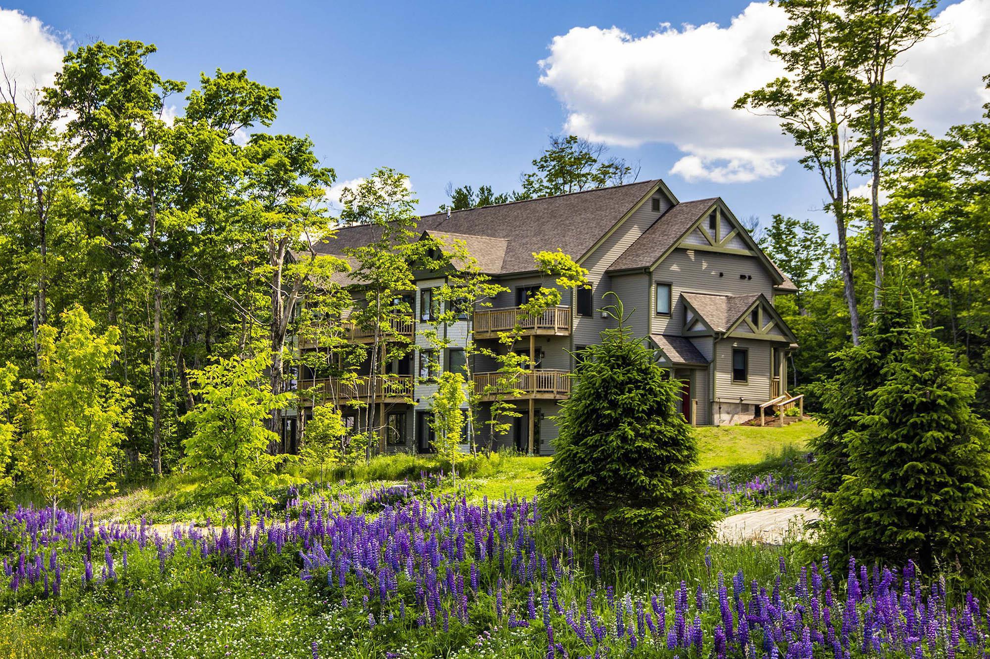 319 Jay Peak Road, Unit 4709 Jay, VT 05859 - Photo 4 of 12 Gallery Image 4