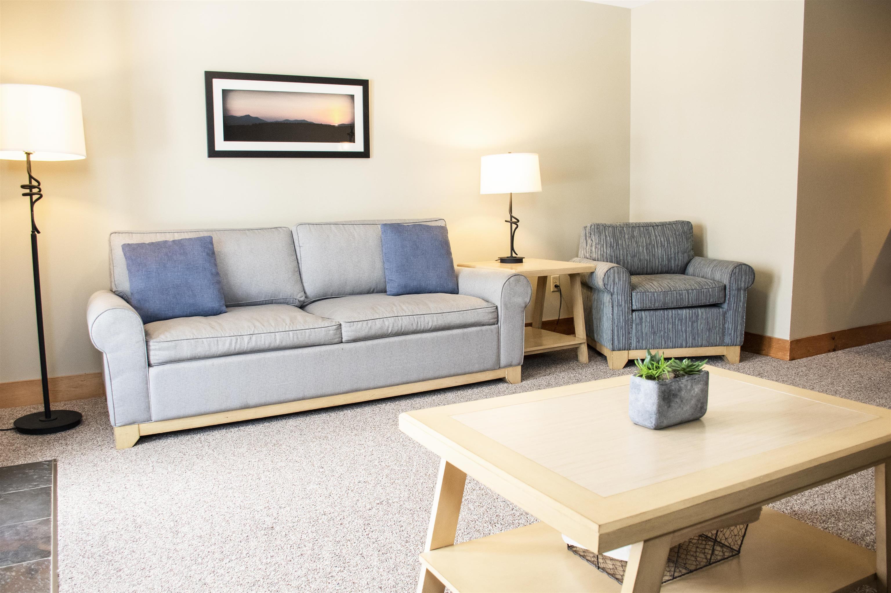 319 Jay Peak Road, Unit 4709 Jay, VT 05859 - Photo 7 of 12 Gallery Image 7