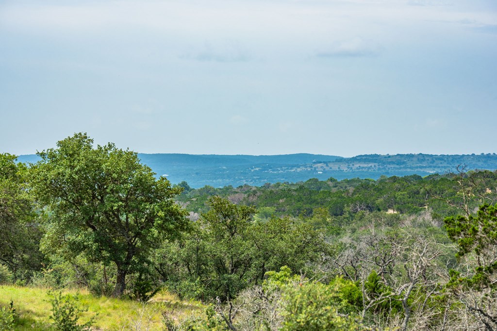 943 Stoneleigh Road Center Point, TX 78010 - Photo 27 of 34