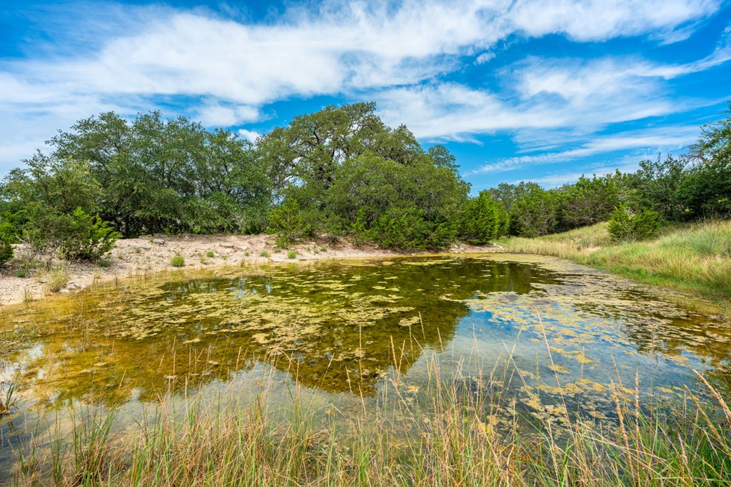 943 Stoneleigh Road Center Point, TX 78010 - Photo 28 of 34