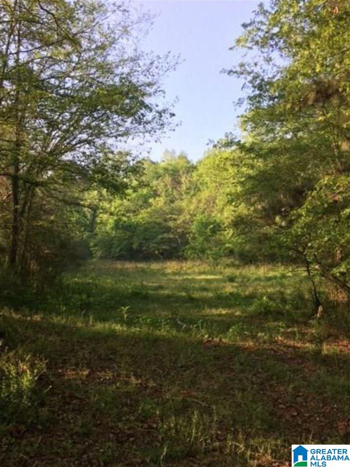 0 Marsh Drive Cleveland, AL 35049 - Photo 7 of 11