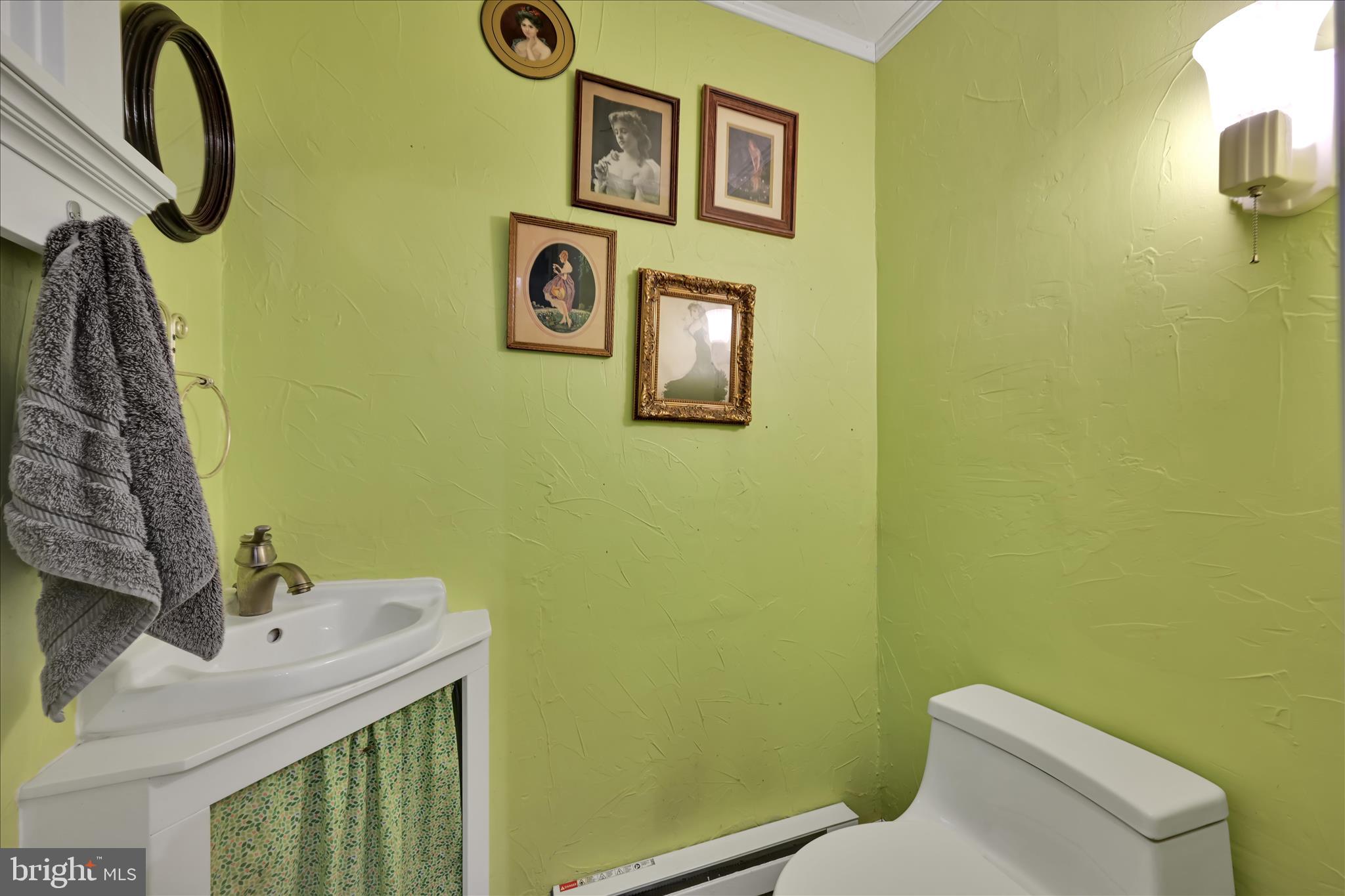 609 6th Street Mount Gretna, PA 17064 - Photo 19 of 39 a bathroom with a sink and a toilet