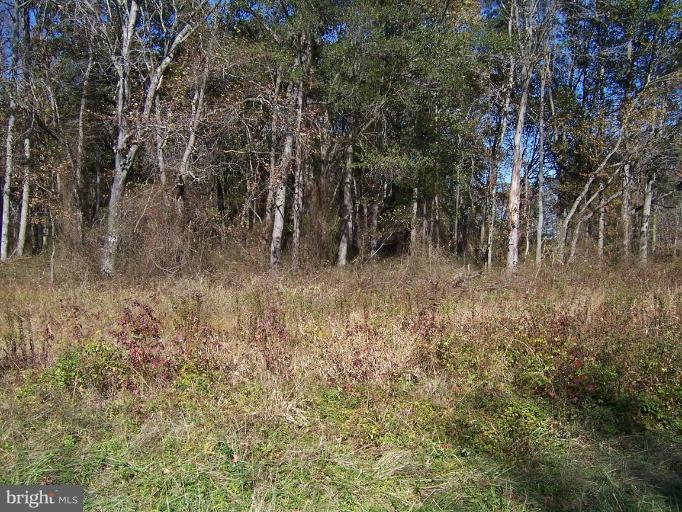 Cosden Nickerson Road Barclay, MD 21607 - Photo 16 of 17 Wooded View / Acreage