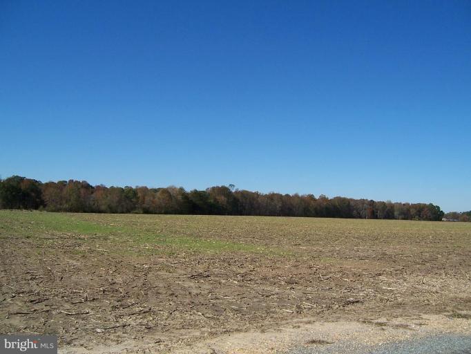 Cosden Nickerson Road Barclay, MD 21607 - Photo 5 of 17 field