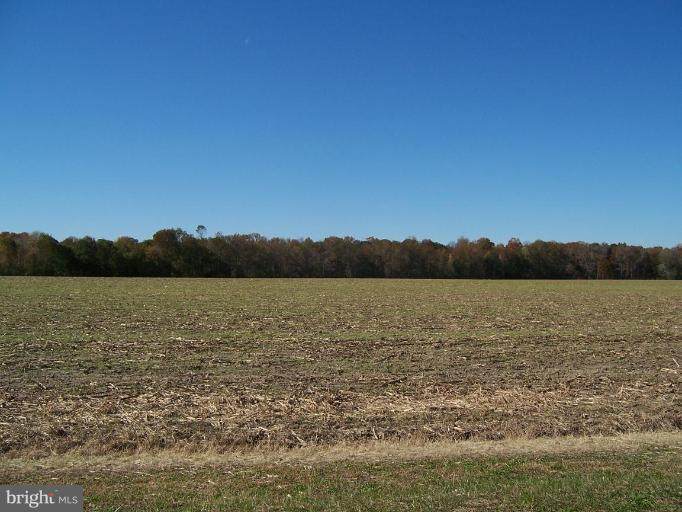Cosden Nickerson Road Barclay, MD 21607 - Photo 6 of 17 field