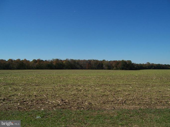 Cosden Nickerson Road Barclay, MD 21607 - Photo 7 of 17 Other #4