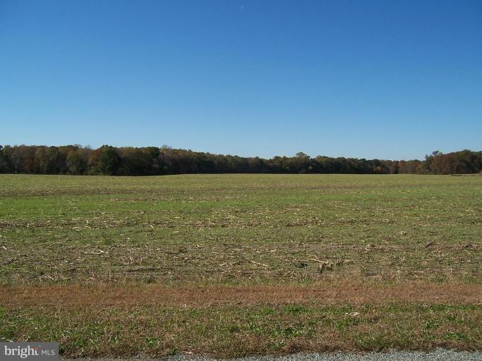 Cosden Nickerson Road Barclay, MD 21607 - Photo 8 of 17 Other #5