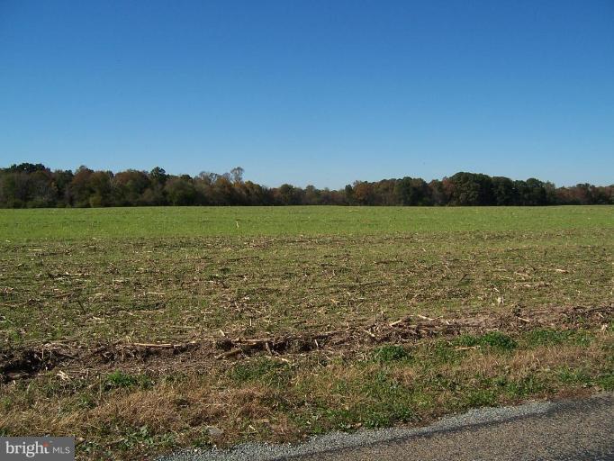 Cosden Nickerson Road Barclay, MD 21607 - Photo 9 of 17 field