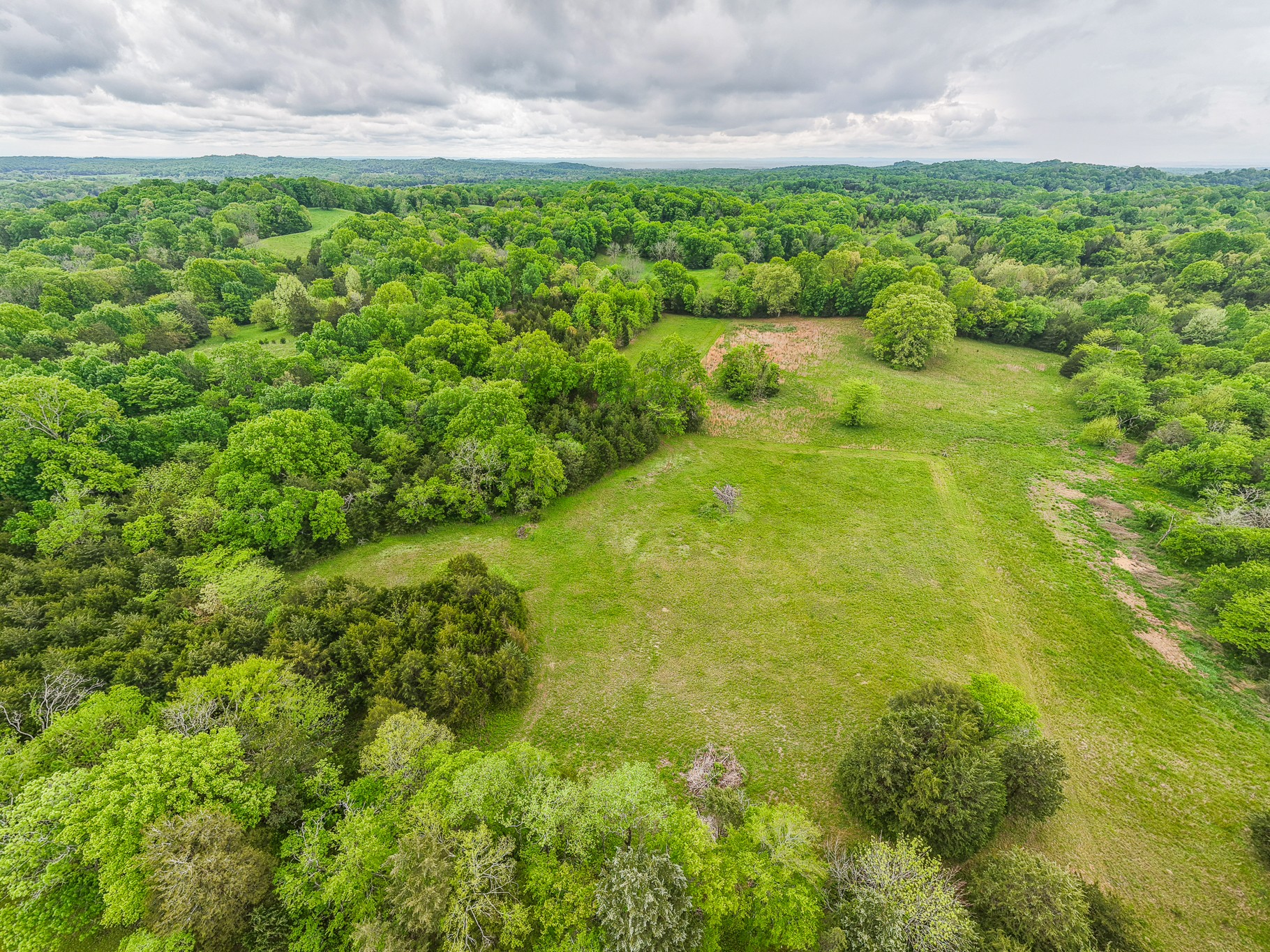 4923 Ash Hill Road Spring Hill, TN 37174 - Photo 36 of 48 Gallery Image 36