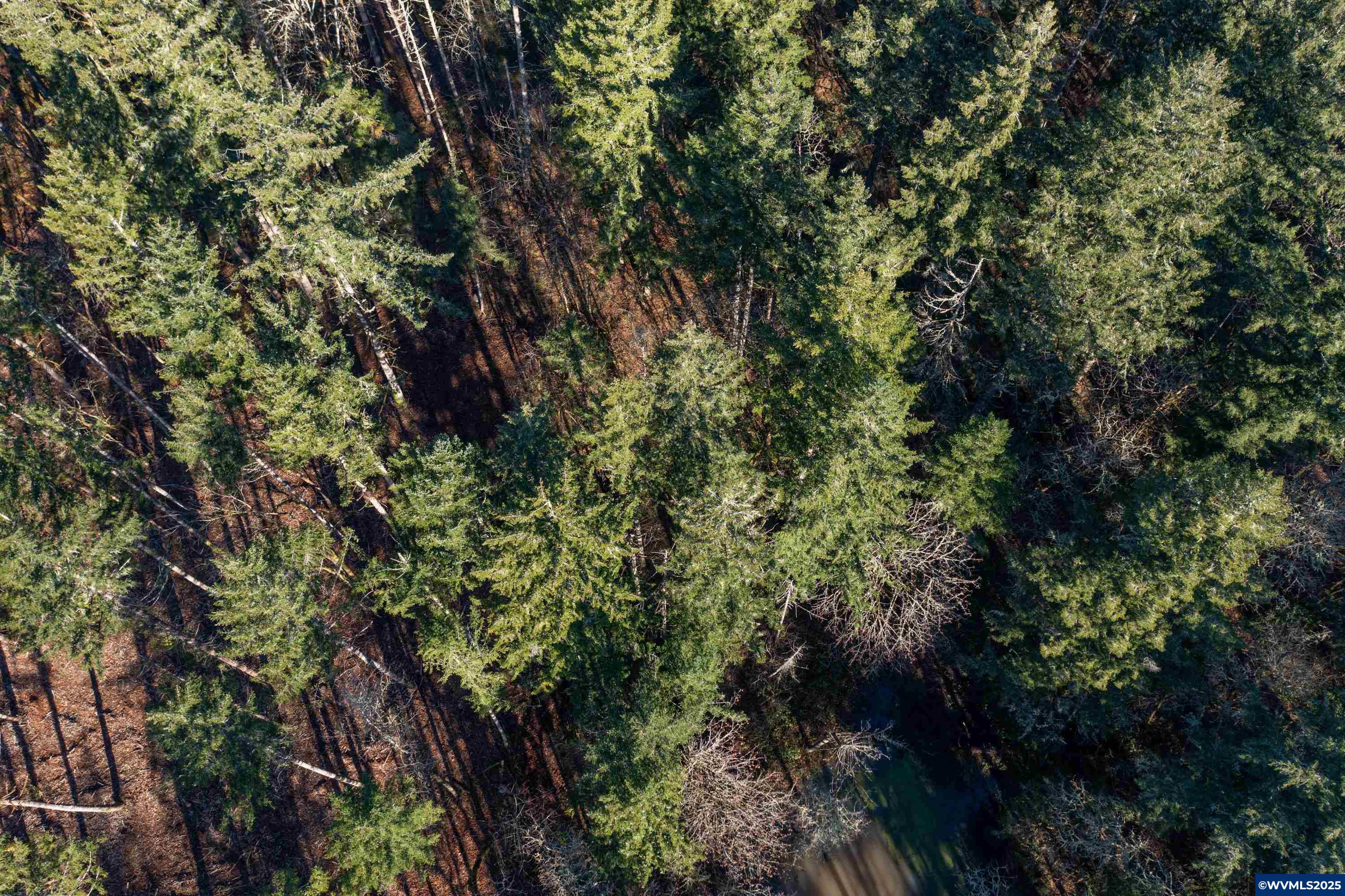 1160 Northwest Country Hills Road Corvallis, OR 97330 - Photo 5 of 8
