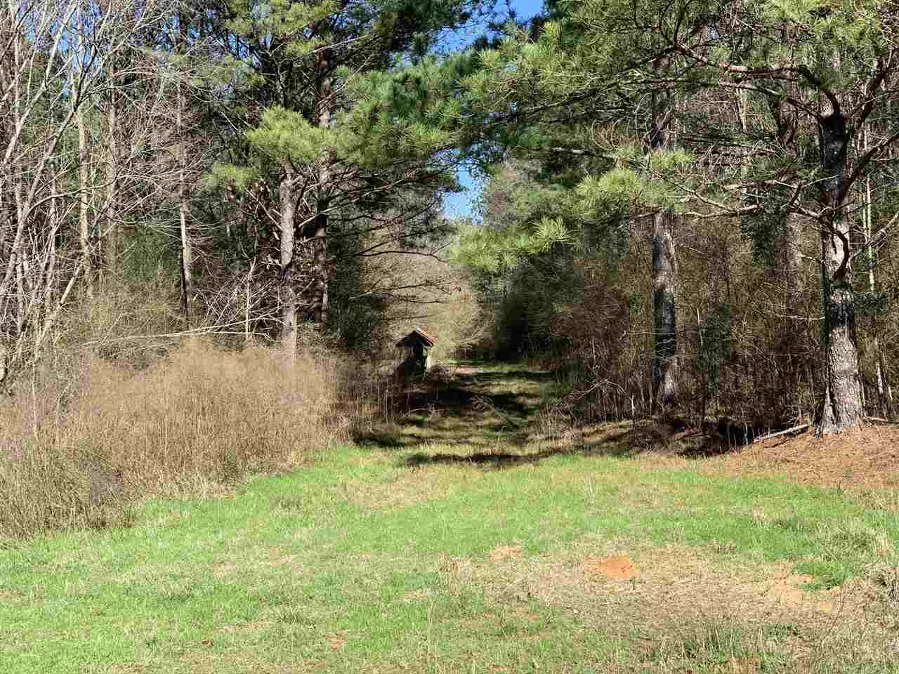 0 Salem Road Forest, MS 39074 - Photo 5 of 15 Photo 6