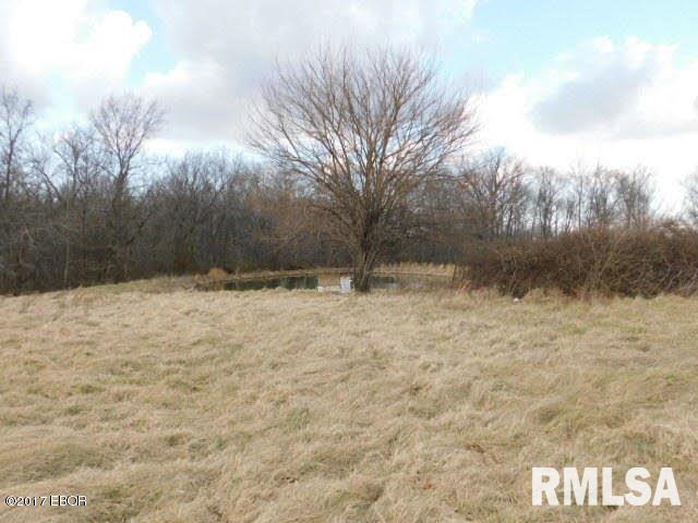 21925 Knob Prairie Road Thompsonville, IL 62890 - Photo 21 of 24 Gallery Image 21