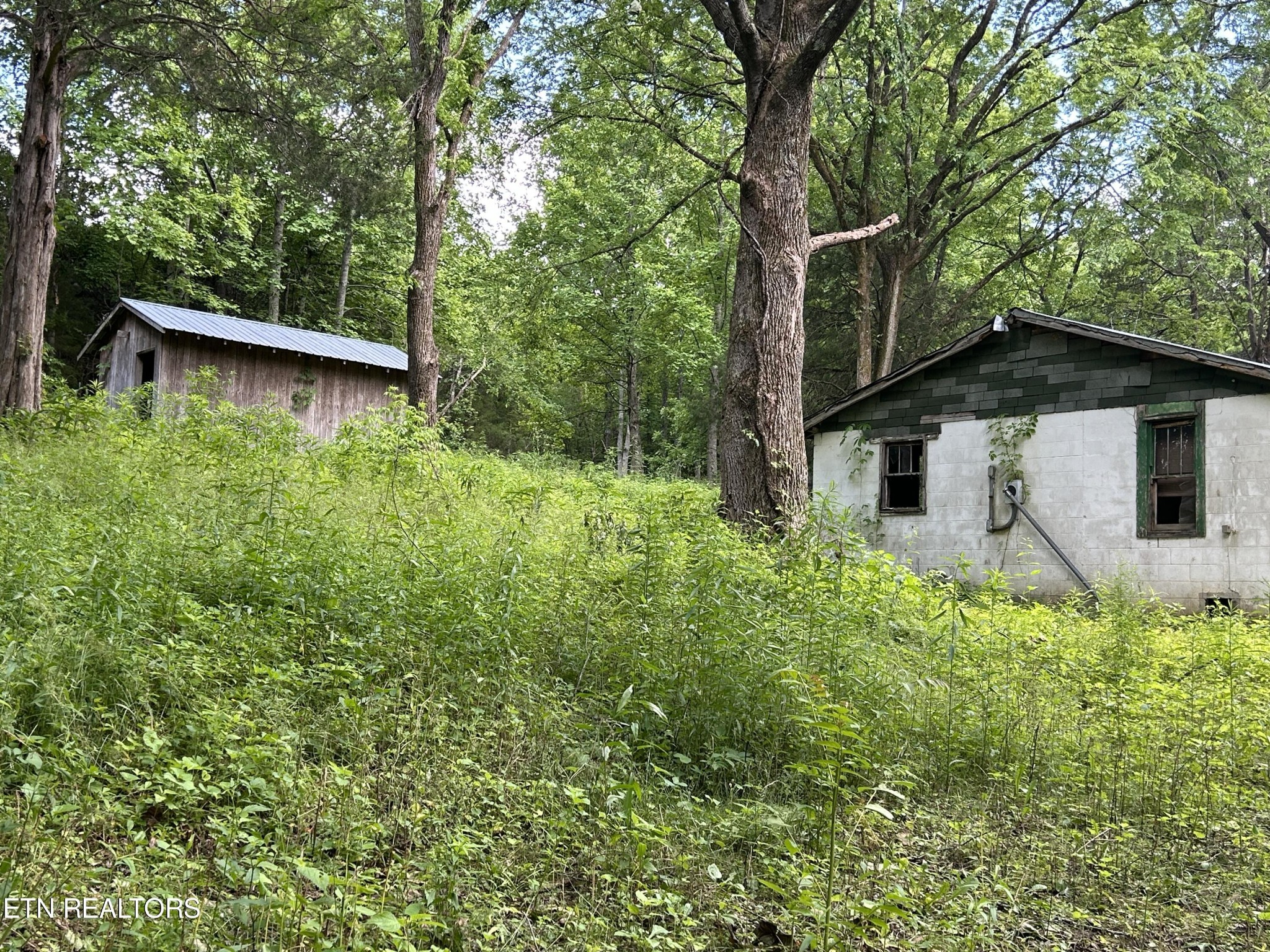 4365 Reed Creek Road Pall Mall, TN 38577 - Photo 8 of 9 Gallery Image 8