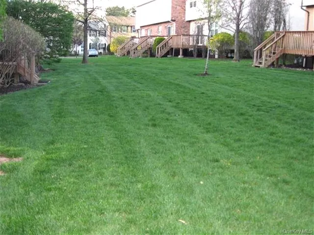 a view of a park with large trees