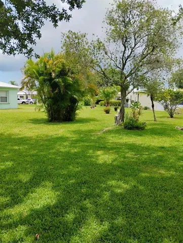 a view of yard with green space and trees