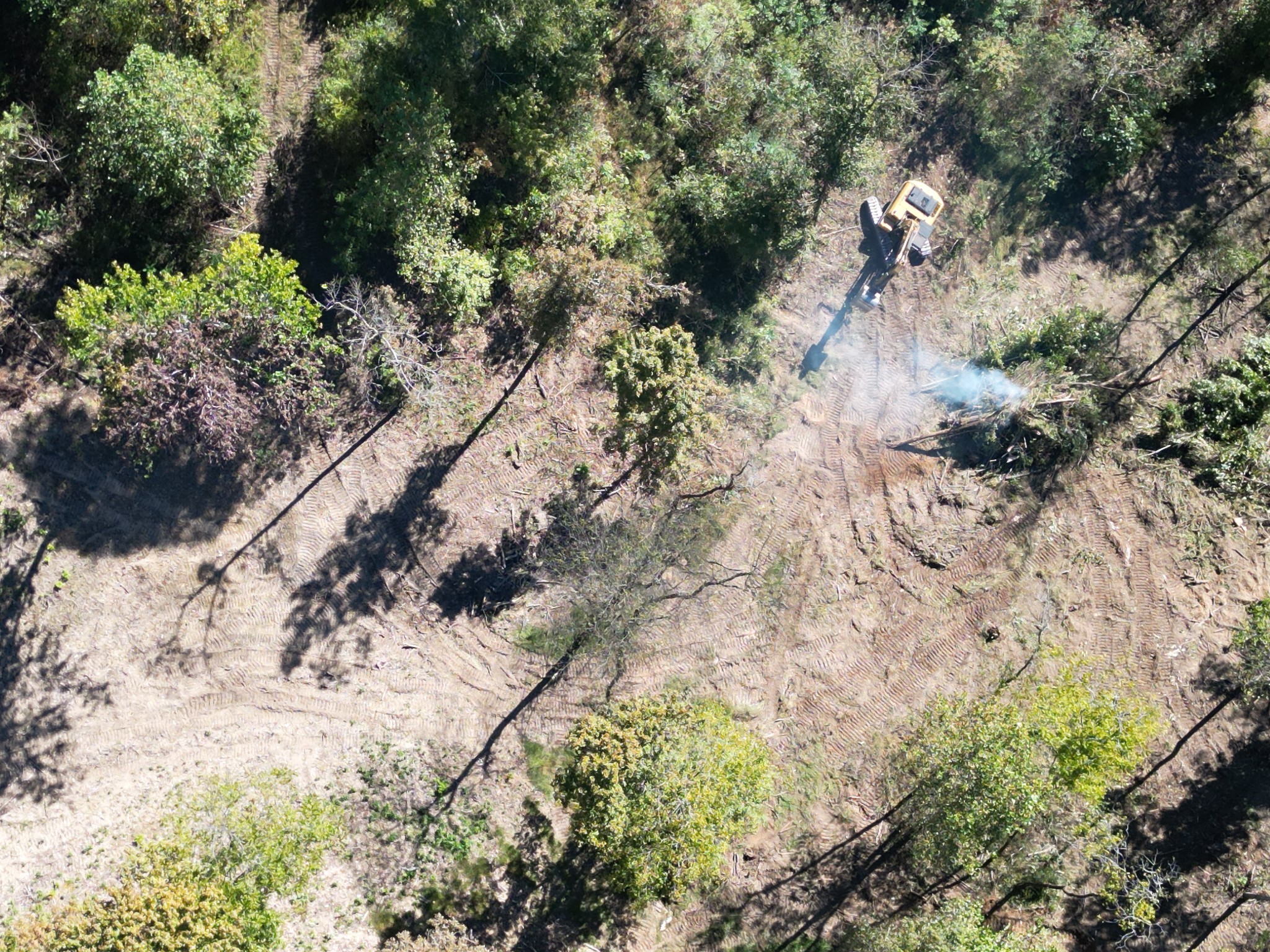 3 T Gunter Hollow Road Pulaski, TN 38478 - Photo 11 of 16 a view of a yard with plants and trees