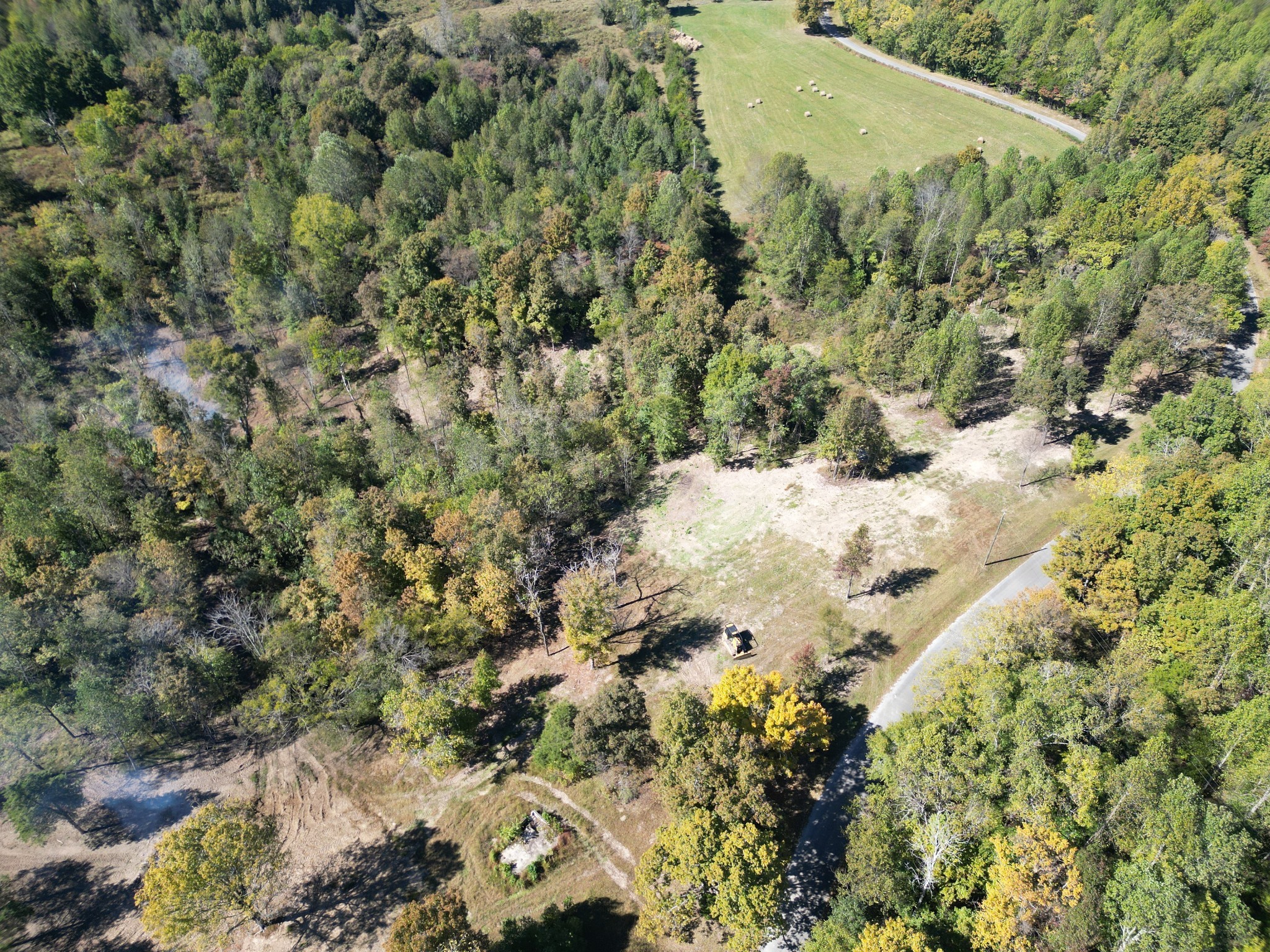 3 T Gunter Hollow Road Pulaski, TN 38478 - Photo 15 of 16 a view of a dry yard with lots of trees
