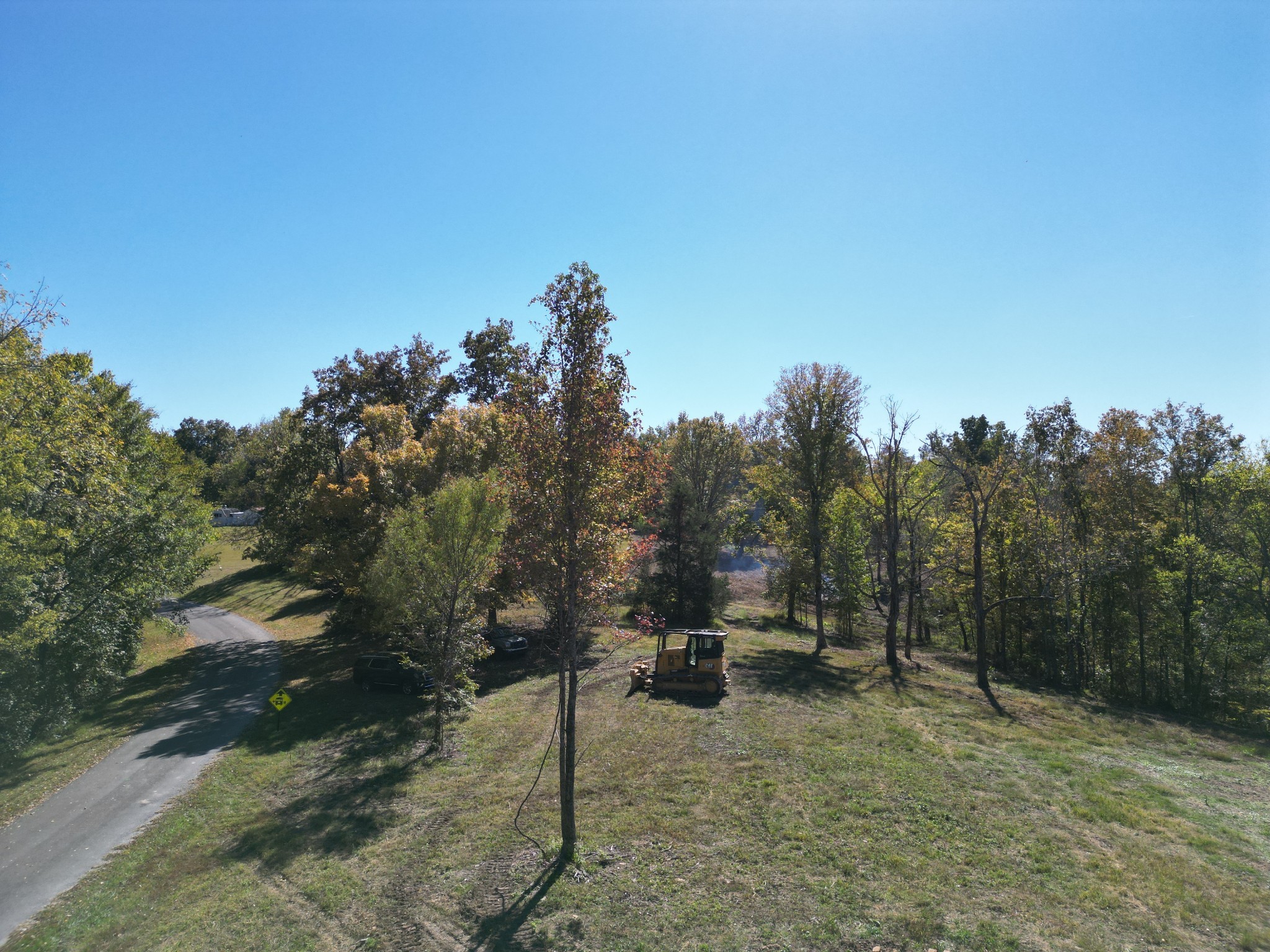 3 T Gunter Hollow Road Pulaski, TN 38478 - Photo 4 of 16 a view of a yard with a tree