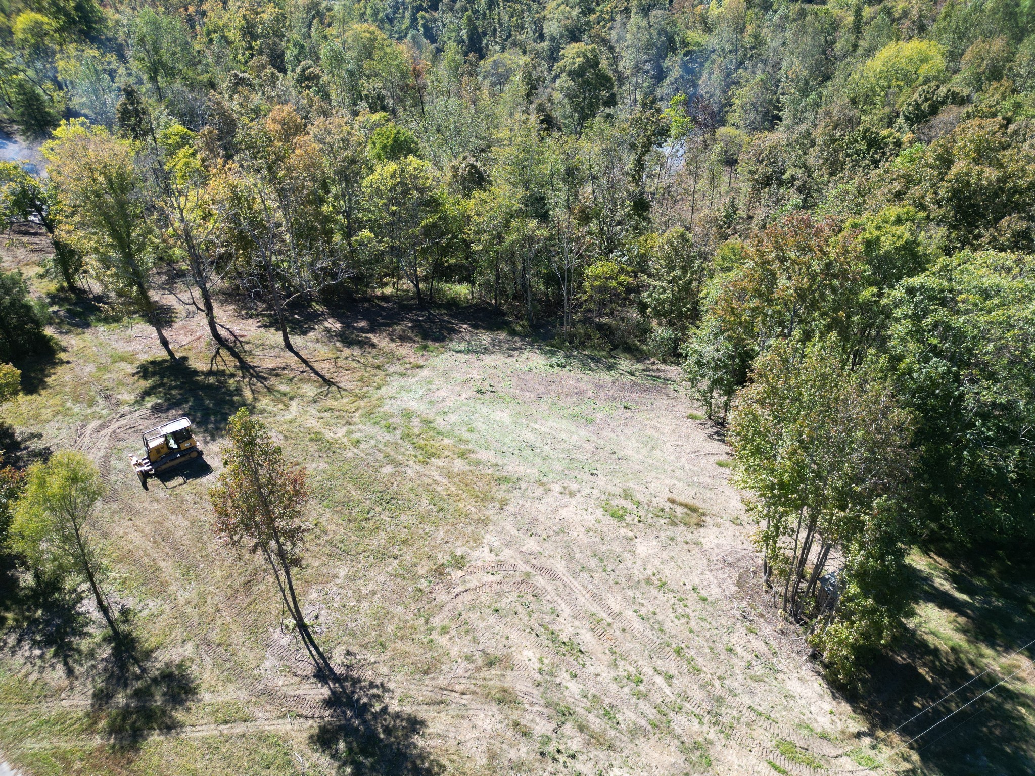 3 T Gunter Hollow Road Pulaski, TN 38478 - Photo 6 of 16 a view of a yard with trees