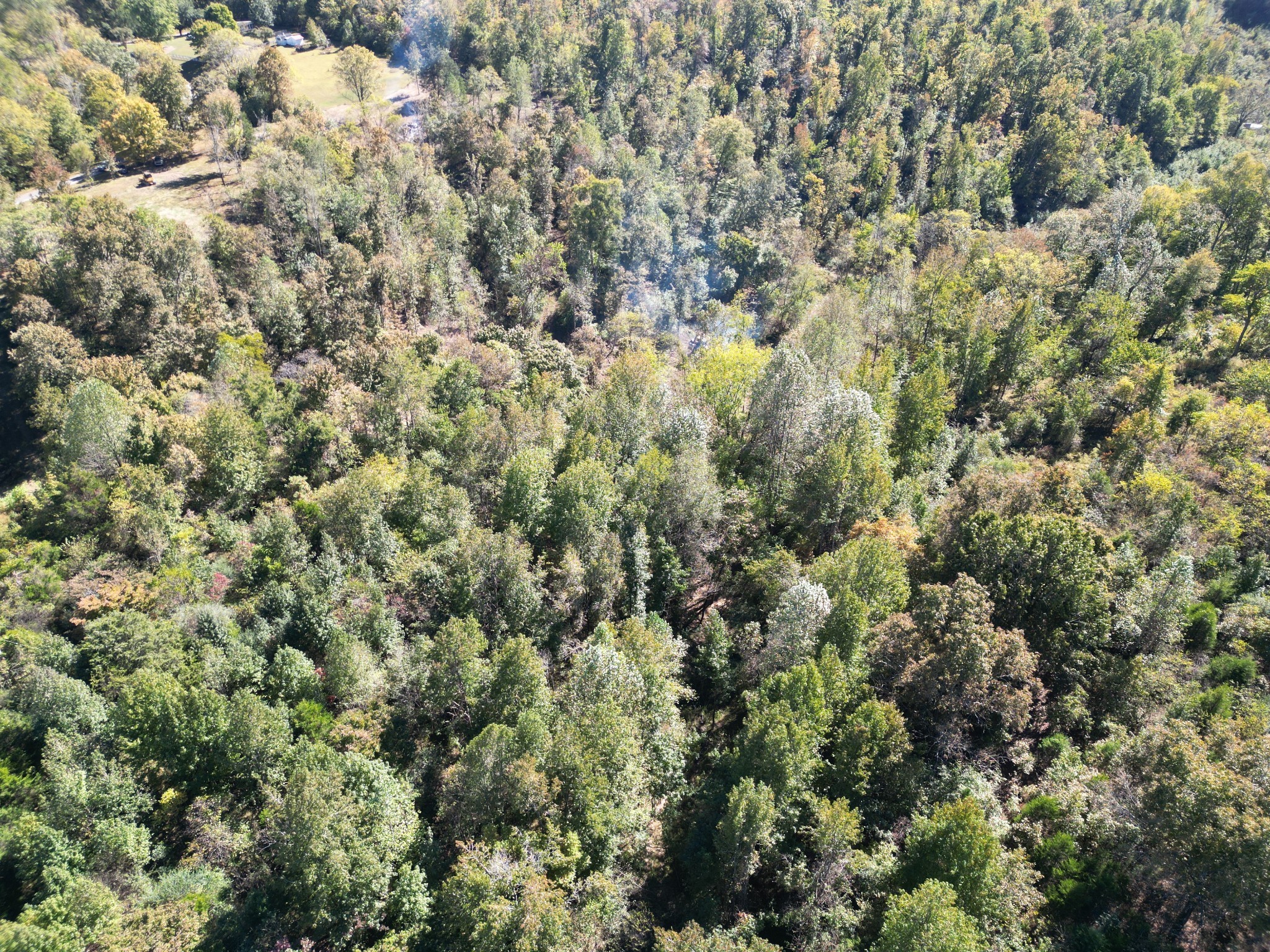 3 T Gunter Hollow Road Pulaski, TN 38478 - Photo 10 of 16 a view of a field