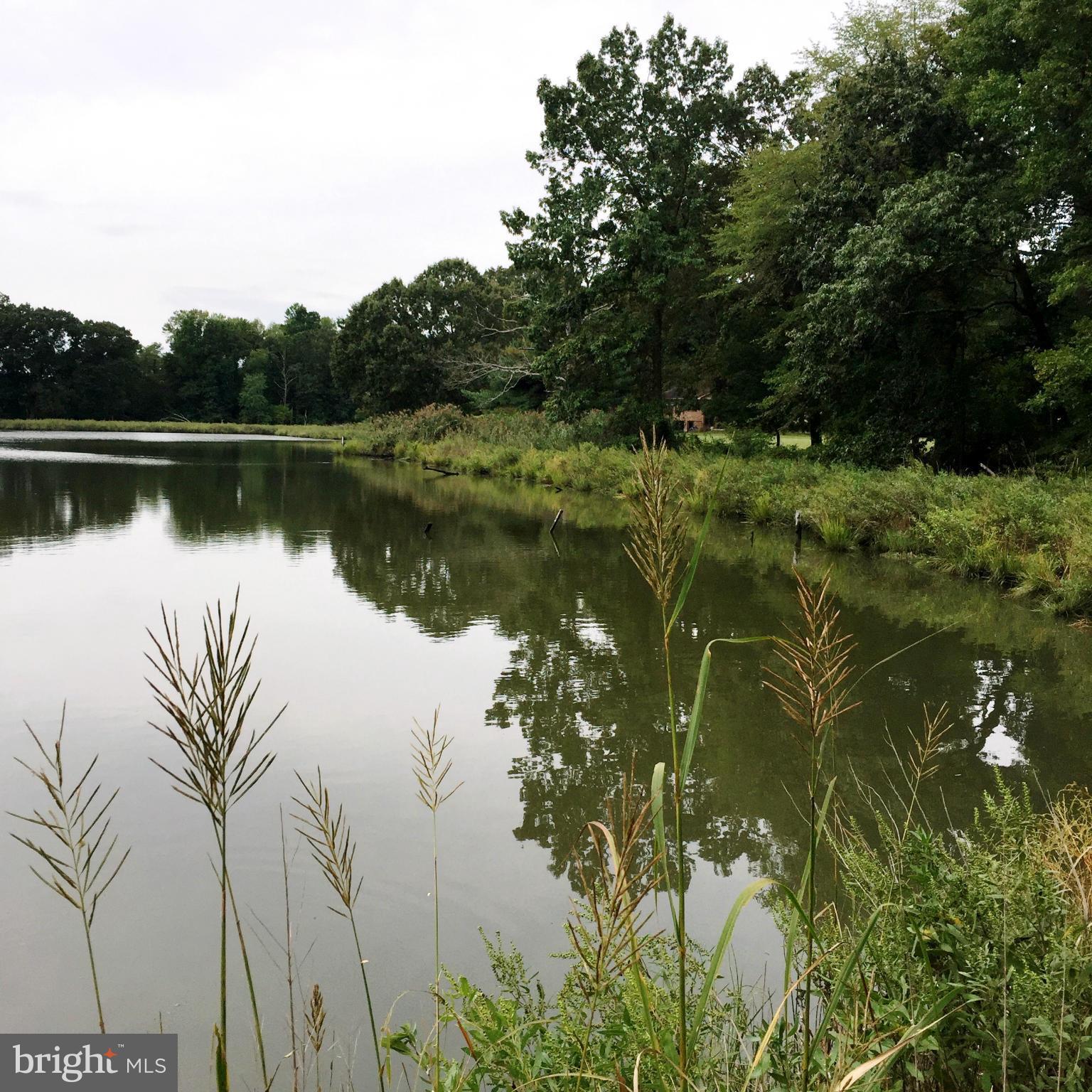 Crandell Rd River West River, MD 20778 - Photo 1 of 6