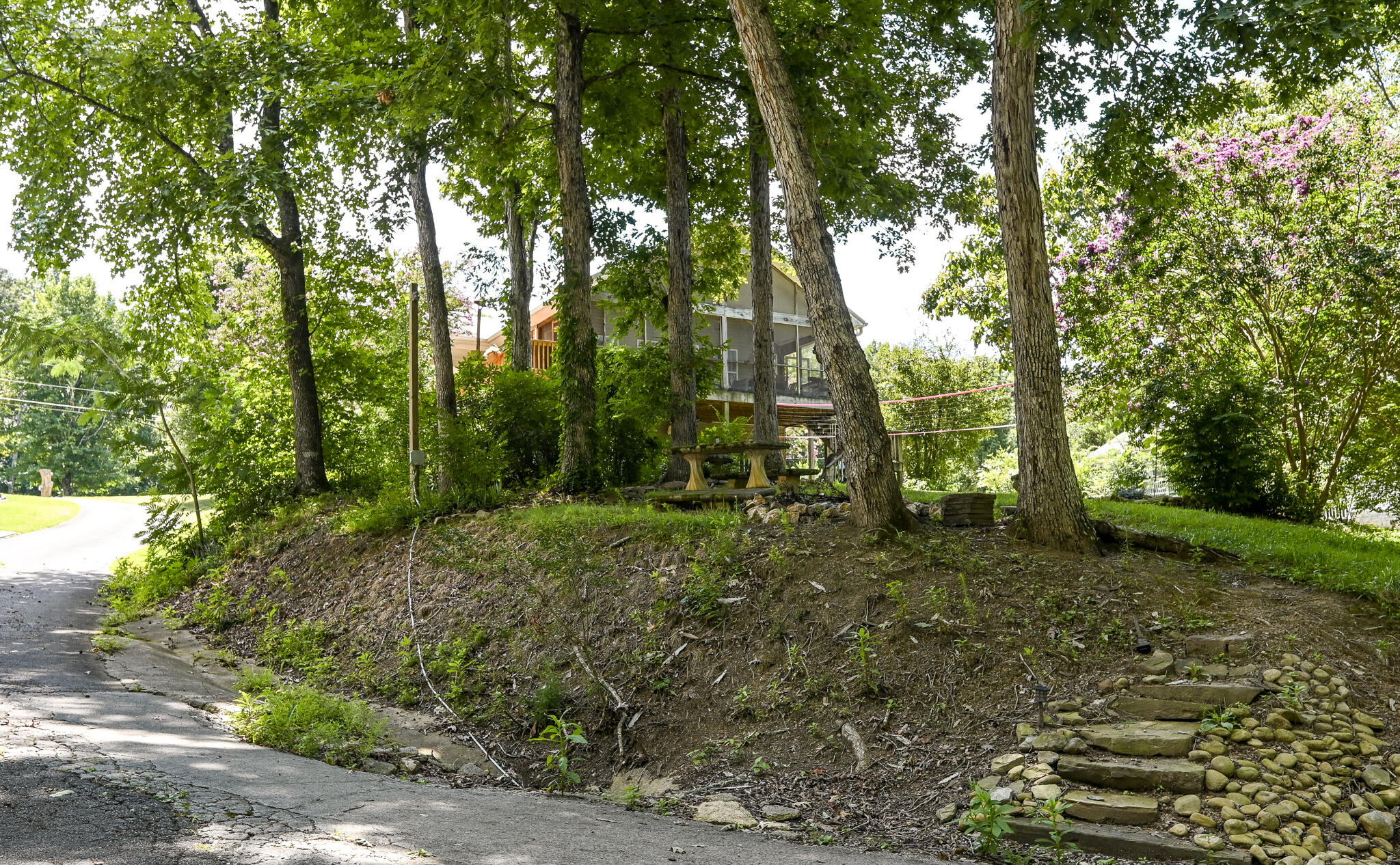220 Sam Johnson Road Georgetown, TN 37336 - Photo 49 of 53 Back of Home