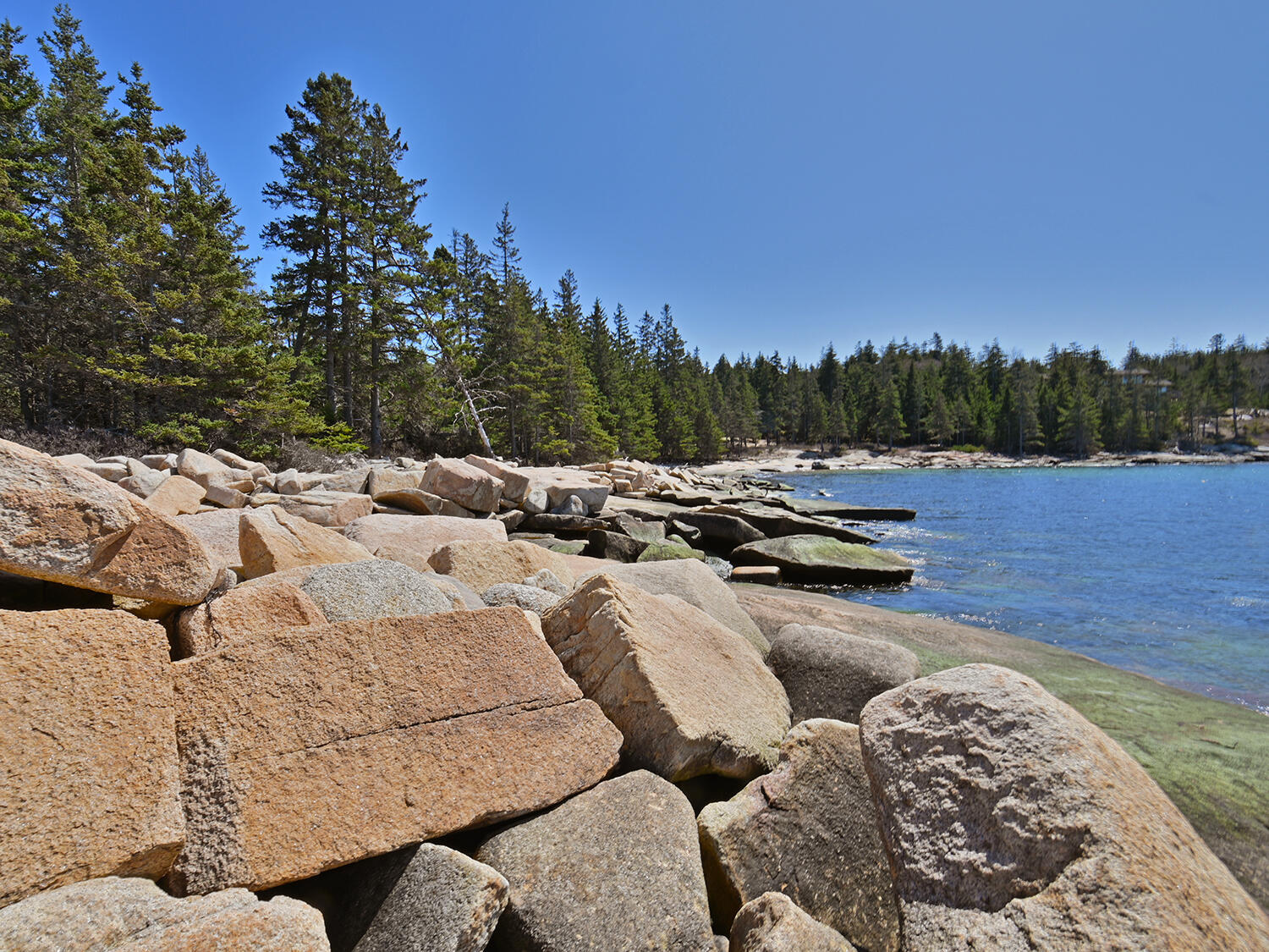 Lot 1 Jericho Bay Road Swans Island, ME 04685 - Photo 6 of 15 Sunset Point