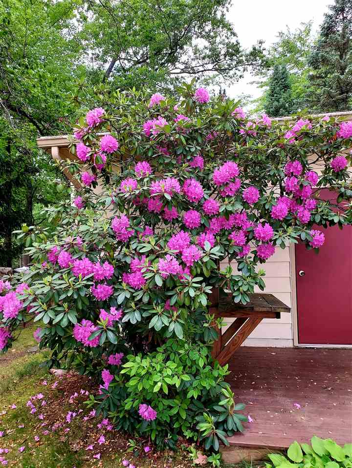 8269 Cortez Road Lake, MI 48632 - Photo 10 of 36 Gallery Image 10