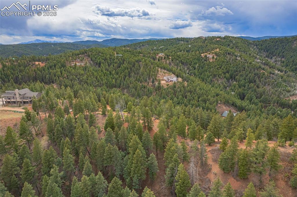 13464 Deer Ridge Way Larkspur, CO 80118 - Photo 13 of 15 a view of a city with lush green forest