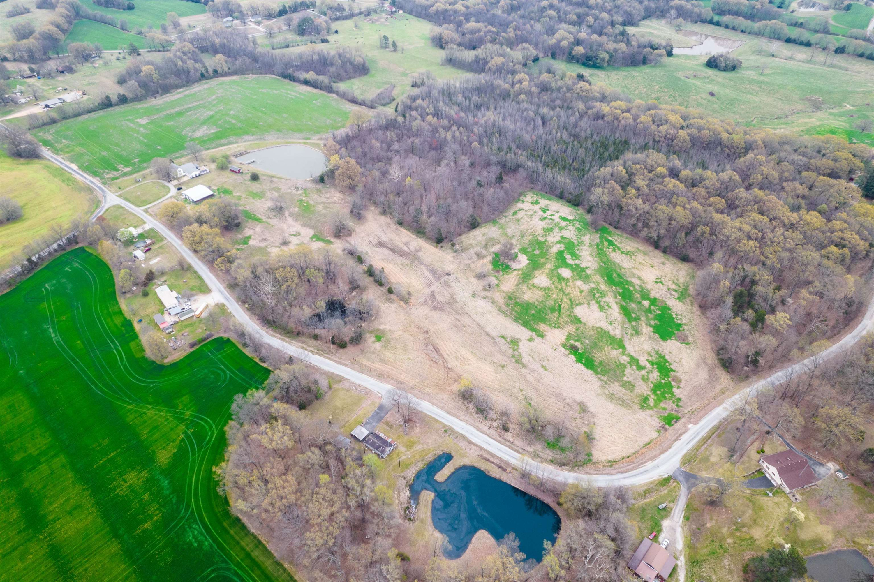 144 Newt Ray Road Dyer, TN 38330 - Photo 4 of 40 Photo 4
