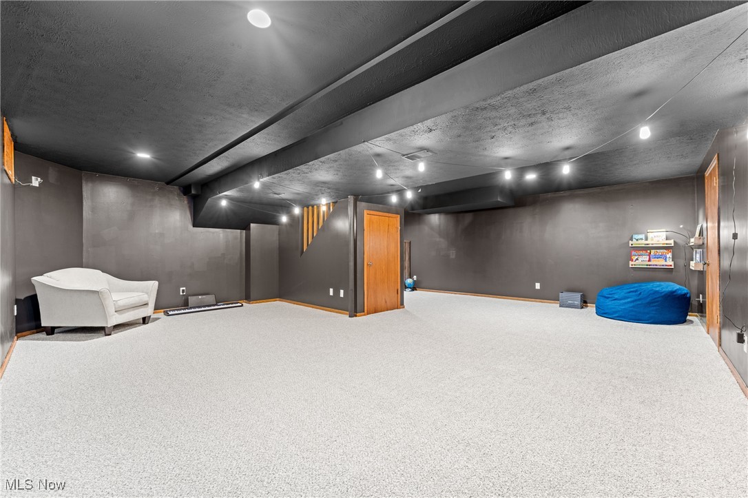 645 Killinger Road Clinton, OH 44216 - Photo 40 of 50 Basement featuring carpet flooring