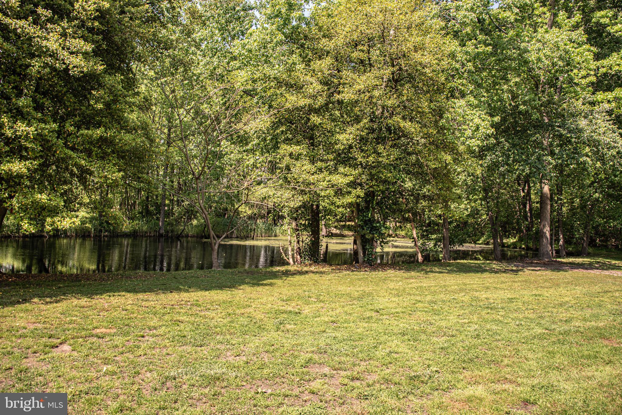 25415 Trunk Line Road Henderson, MD 21640 - Photo 52 of 96
