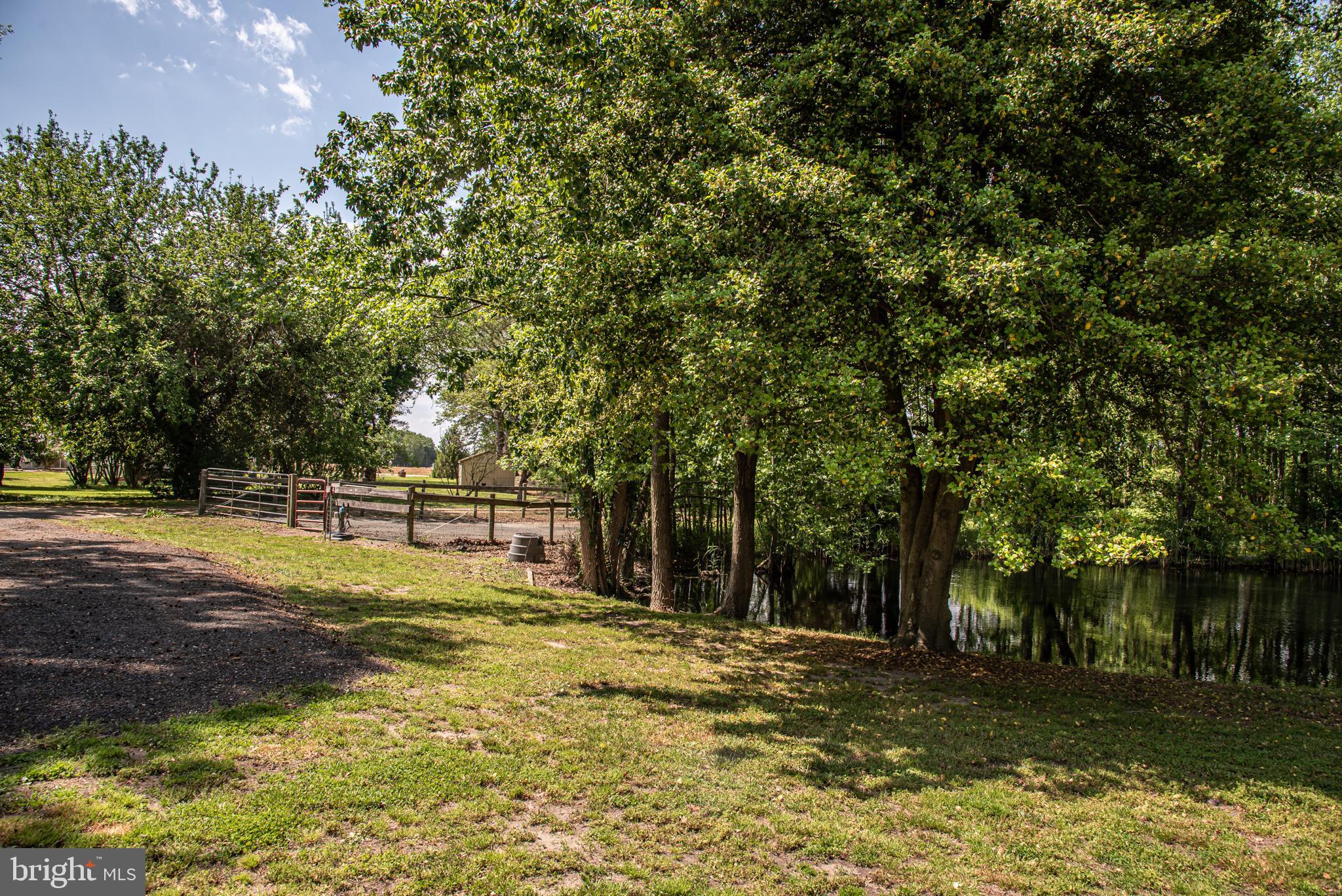 25415 Trunk Line Road Henderson, MD 21640 - Photo 53 of 96