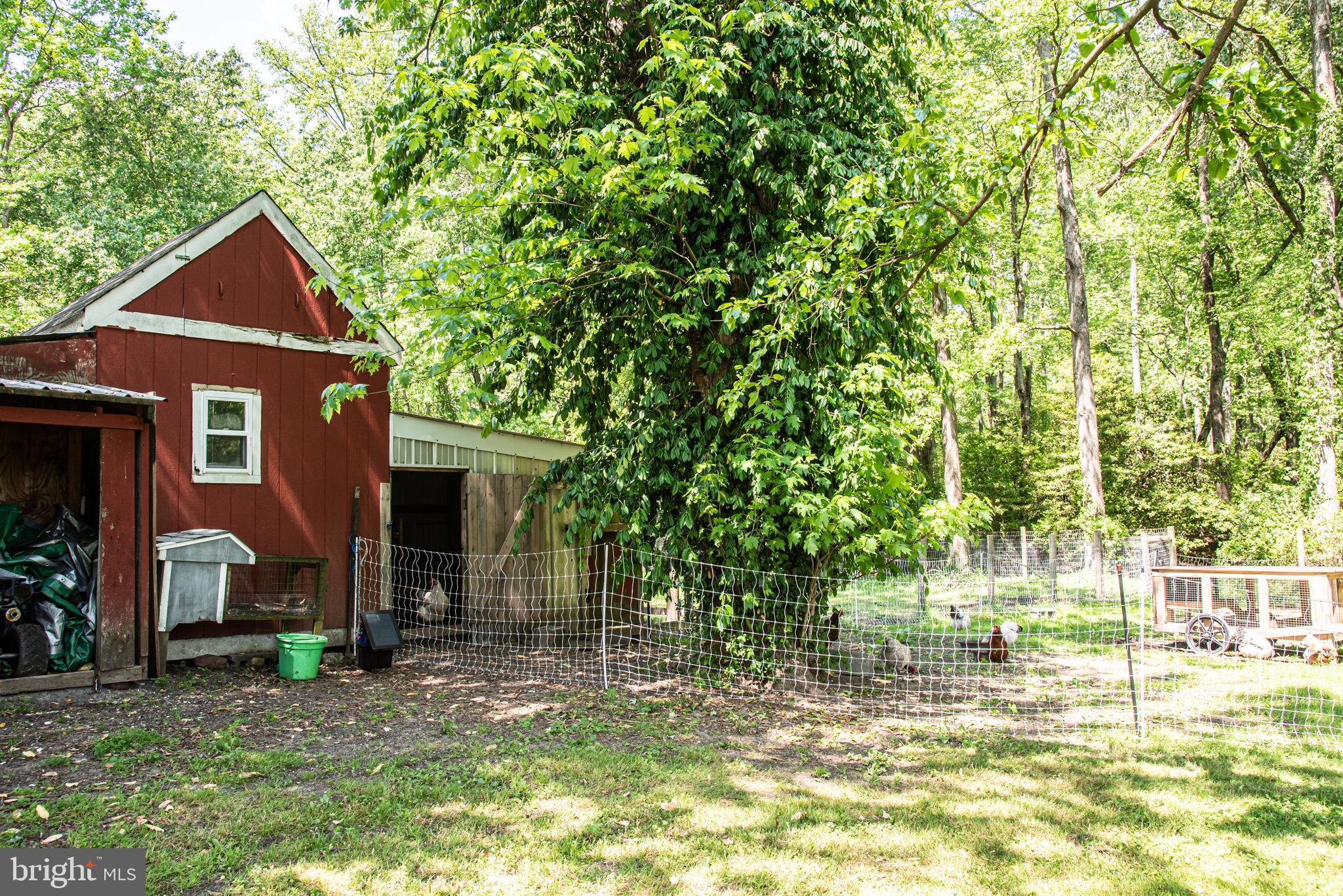 25415 Trunk Line Road Henderson, MD 21640 - Photo 61 of 96