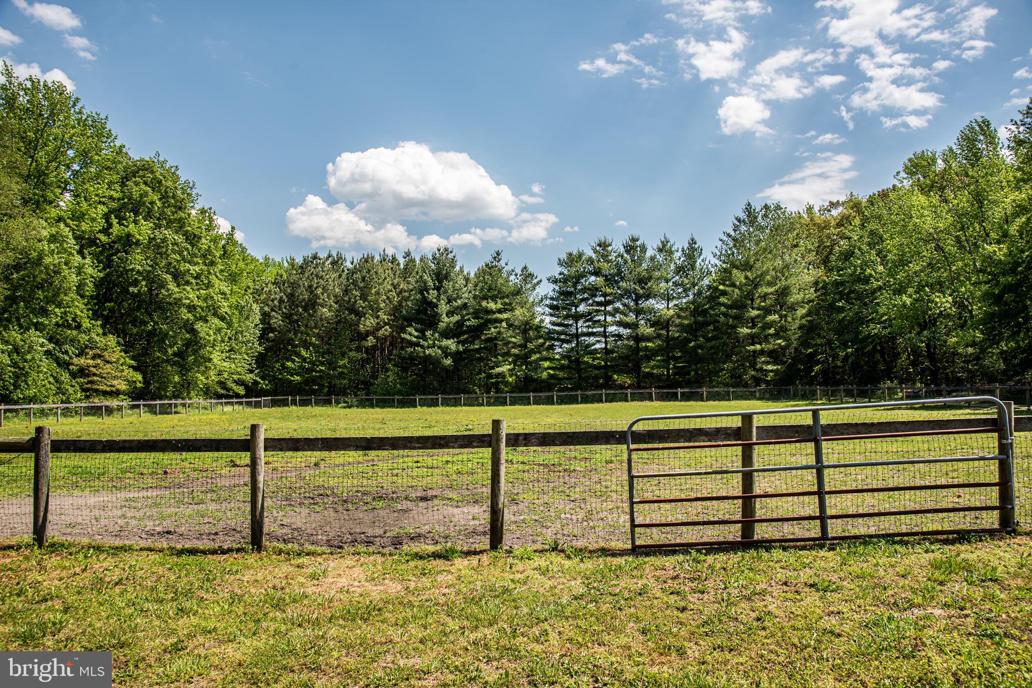 25415 Trunk Line Road Henderson, MD 21640 - Photo 70 of 96