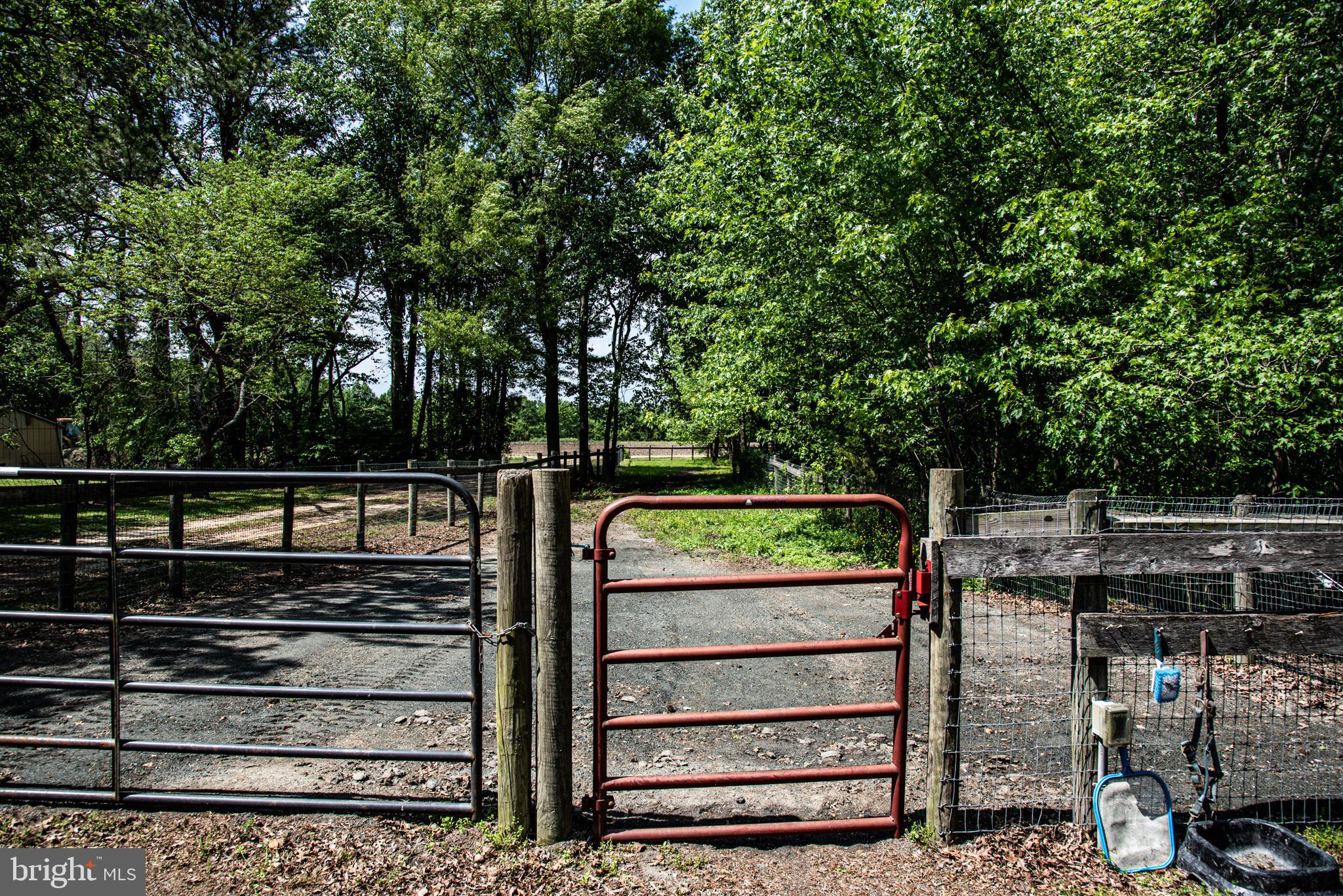 25415 Trunk Line Road Henderson, MD 21640 - Photo 77 of 96