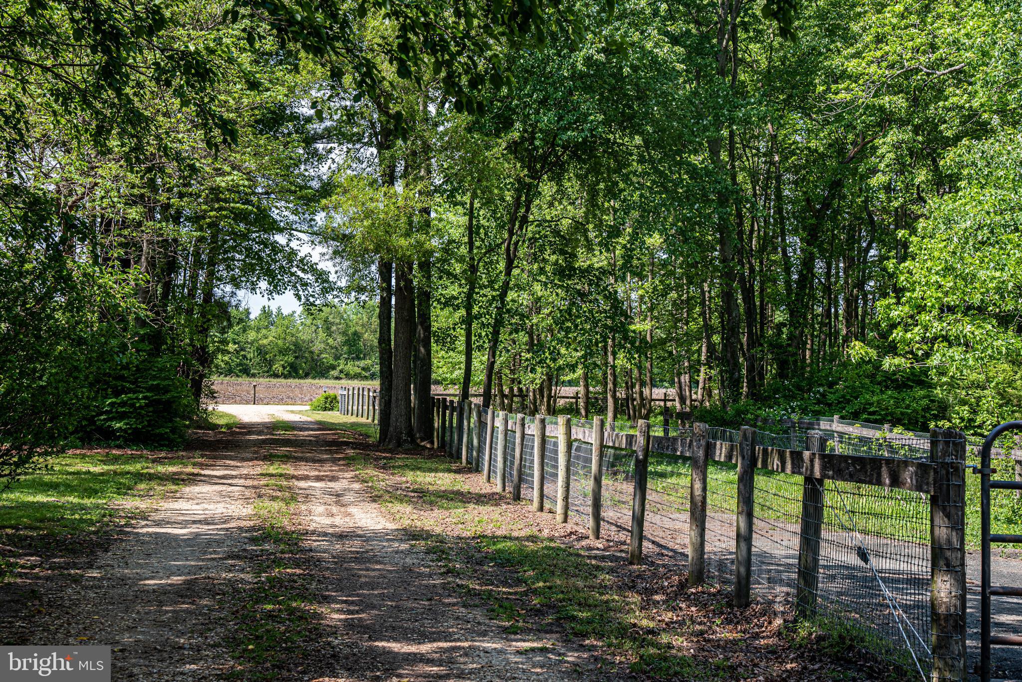 25415 Trunk Line Road Henderson, MD 21640 - Photo 81 of 96
