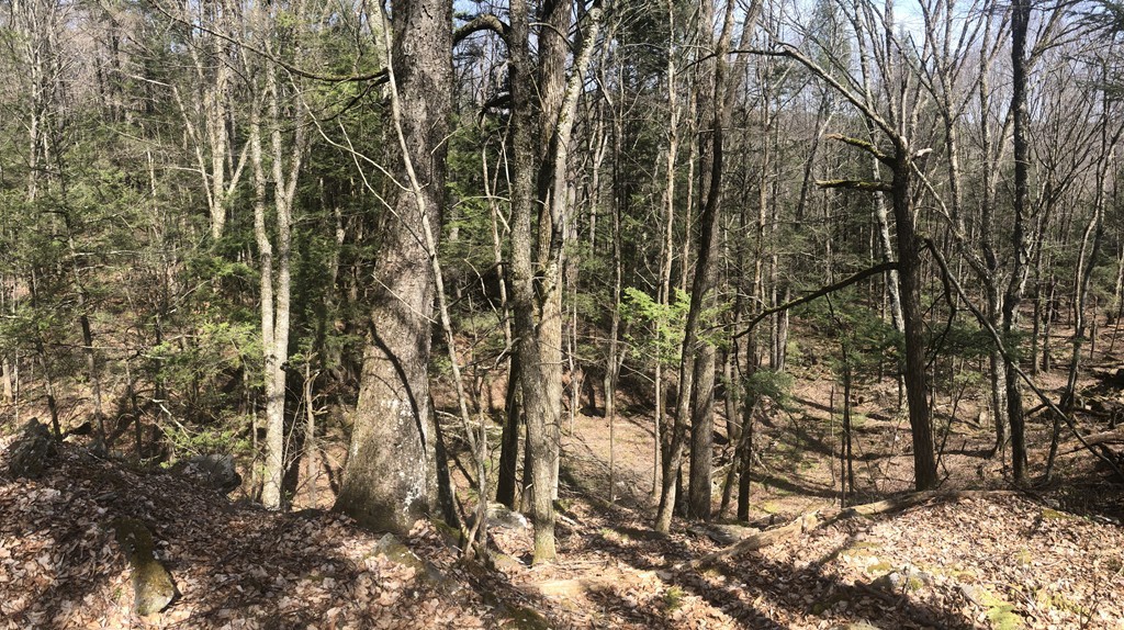0 Mount Road Cummington, MA 01026 - Photo 6 of 22 Gallery Image 6