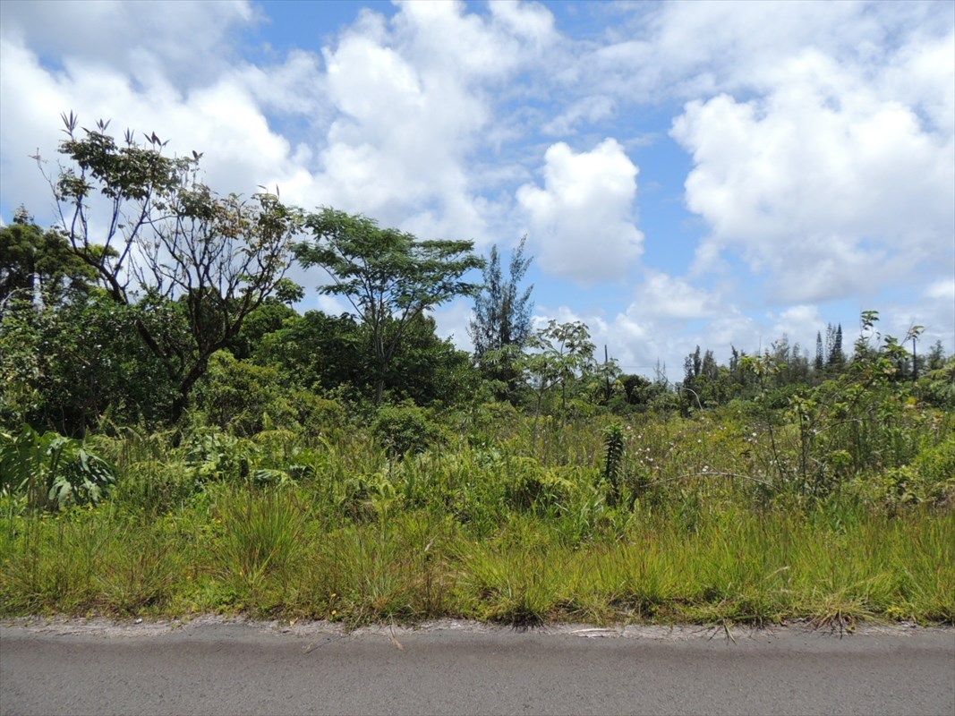 1538 Beach Road Keaau, HI 96749 - Photo 1 of 5 Gallery Image 1