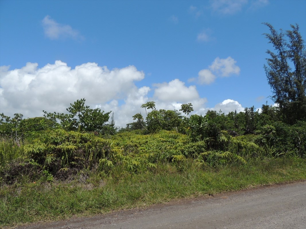 1538 Beach Road Keaau, HI 96749 - Photo 2 of 5 Gallery Image 2