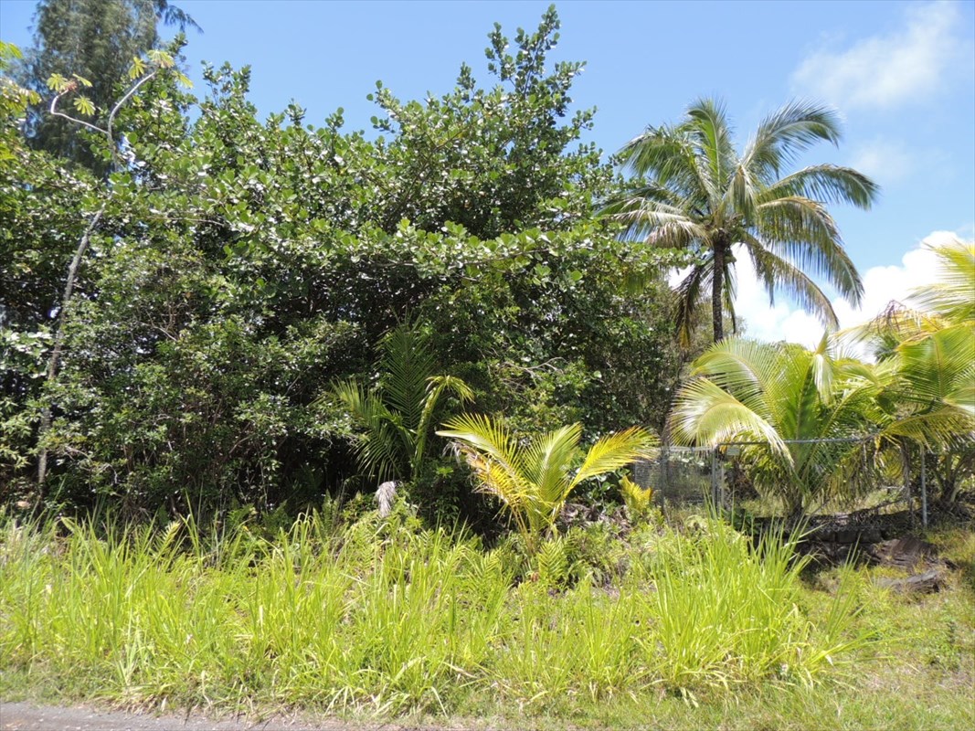 1538 Beach Road Keaau, HI 96749 - Photo 3 of 5 Gallery Image 3