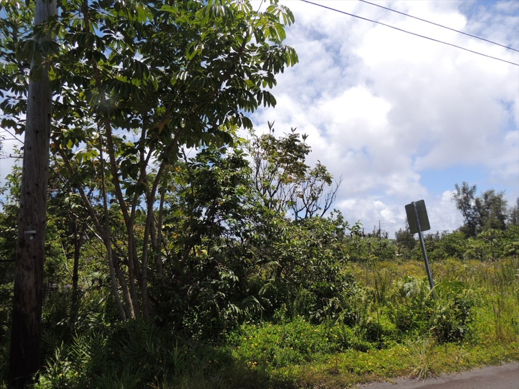 1538 Beach Road Keaau, HI 96749 - Photo 4 of 5 Gallery Image 4