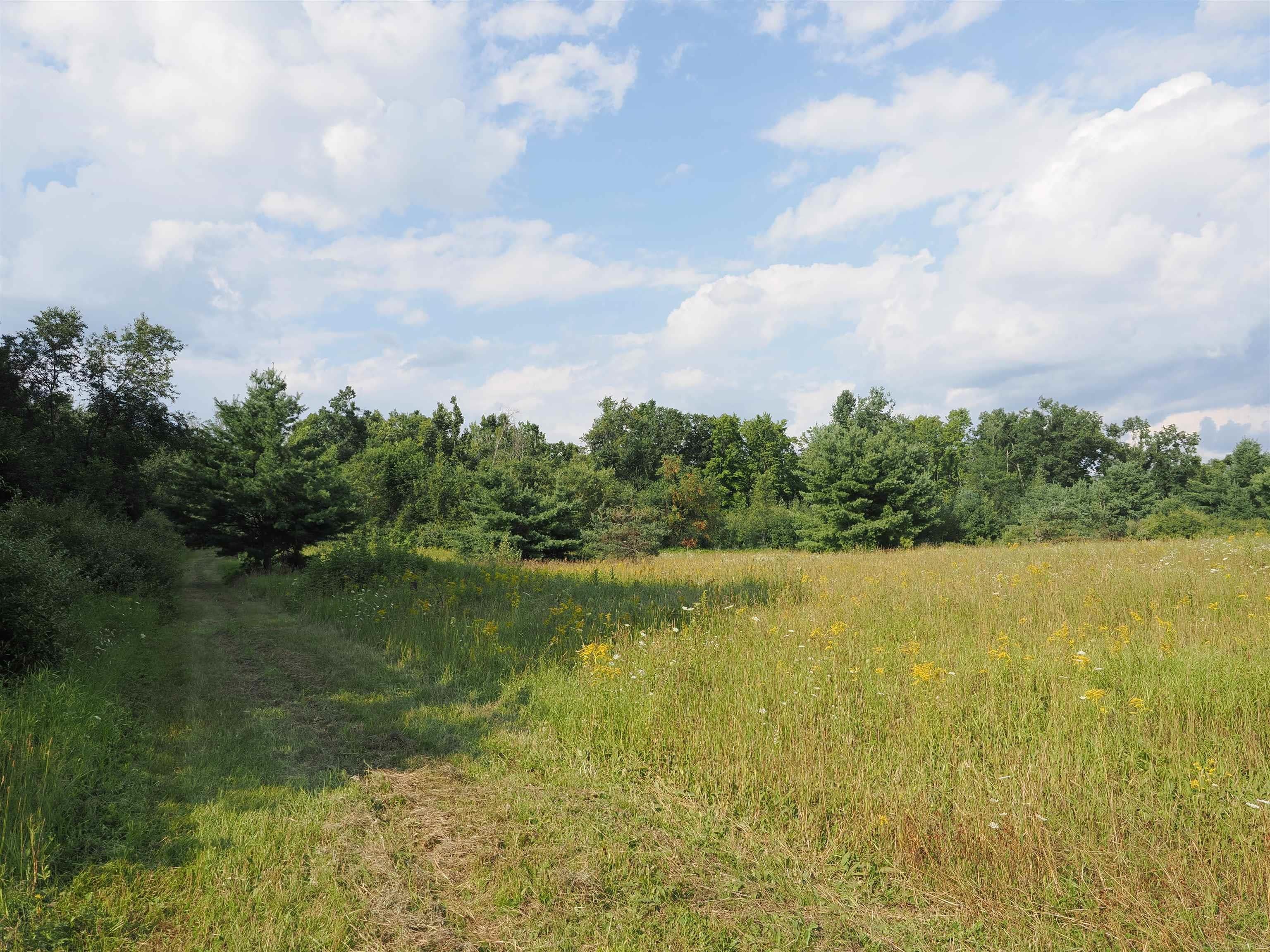 Xxx Emig Road Comins, MI 48619 - Photo 6 of 63 Gallery Image 6