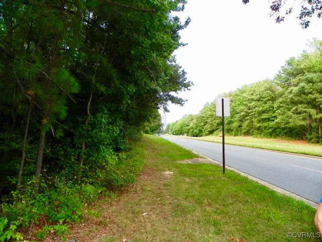 a view of a yard with potted plants