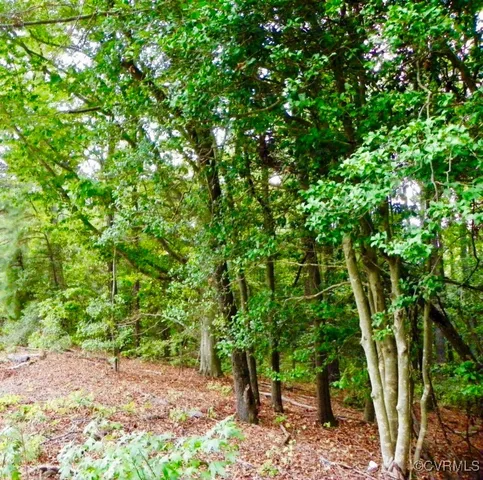 a backyard of a house with lots of trees